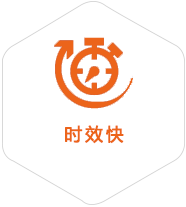 绍兴到意大利物流公司